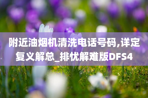 附近油烟机清洗电话号码,详定复义解总_排忧解难版DFS4