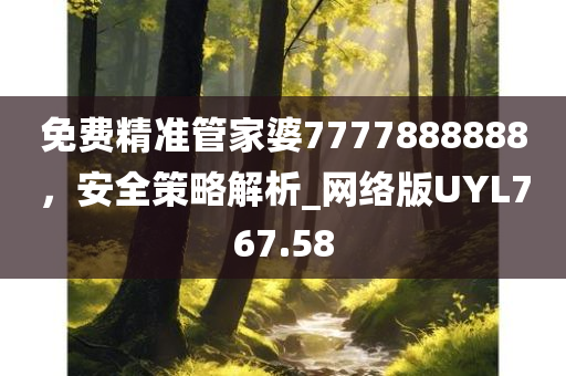 免费精准管家婆7777888888，安全策略解析_网络版UYL767.58