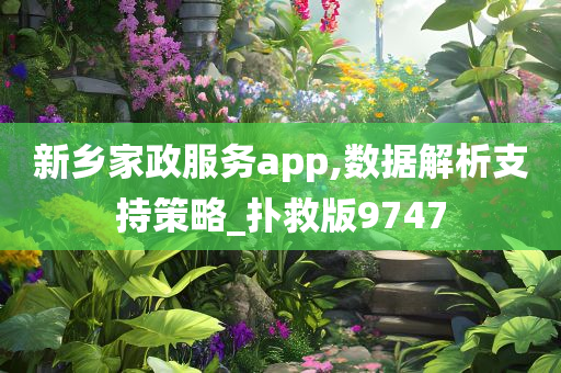 新乡家政服务app,数据解析支持策略_扑救版9747