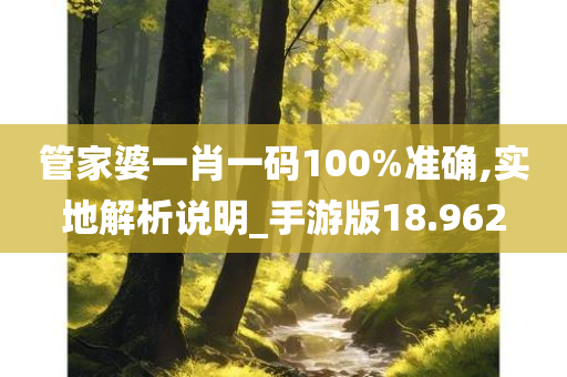 管家婆一肖一码100%准确,实地解析说明_手游版18.962