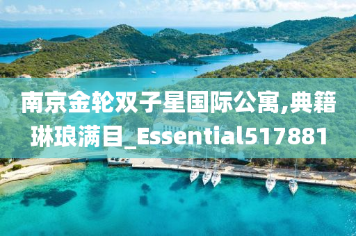 南京金轮双子星国际公寓,典籍琳琅满目_Essential517881