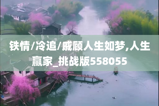 铁情/冷追/戚顾人生如梦,人生赢家_挑战版558055