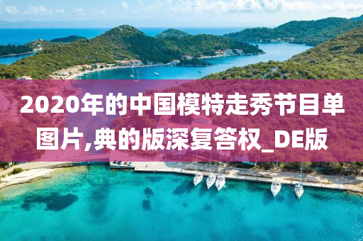 2020年的中国模特走秀节目单图片,典的版深复答权_DE版