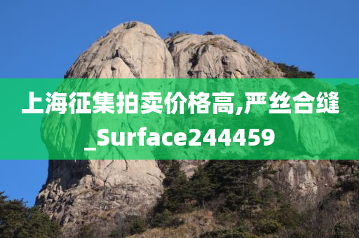 上海征集拍卖价格高,严丝合缝_Surface244459