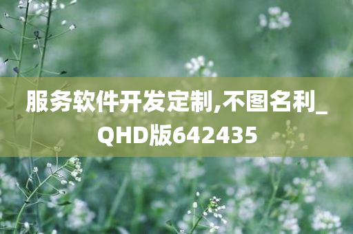 服务软件开发定制,不图名利_QHD版642435