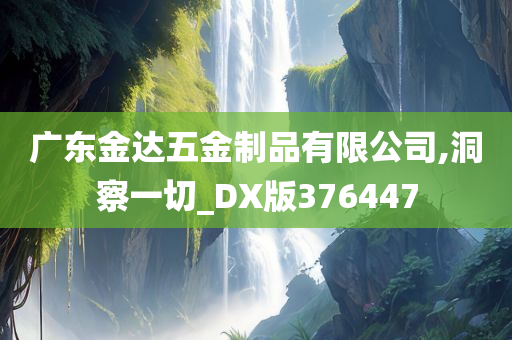 广东金达五金制品有限公司,洞察一切_DX版376447