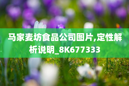 马家麦坊食品公司图片,定性解析说明_8K677333