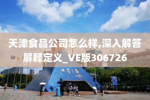 天津食品公司怎么样,深入解答解释定义_VE版306726