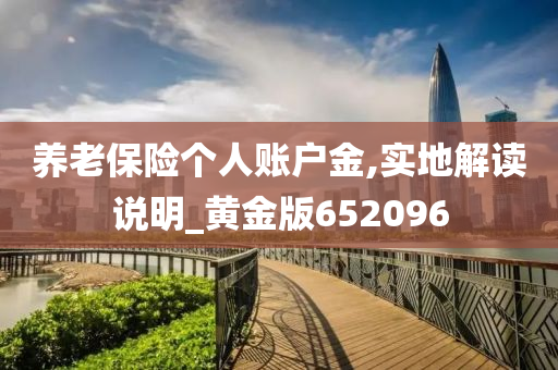 养老保险个人账户金,实地解读说明_黄金版652096