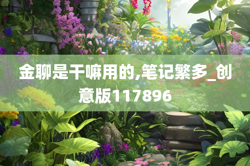 金聊是干嘛用的,笔记繁多_创意版117896