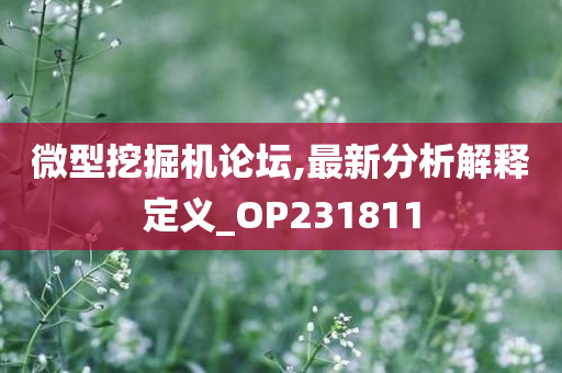 微型挖掘机论坛,最新分析解释定义_OP231811