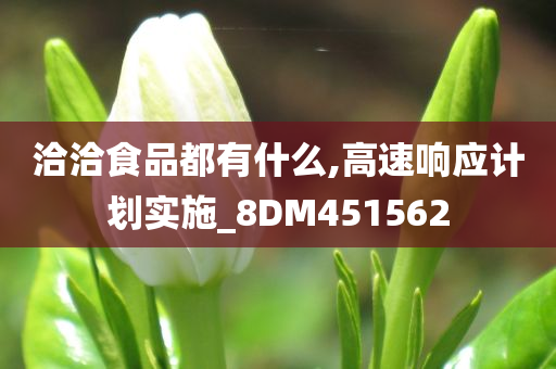 洽洽食品都有什么,高速响应计划实施_8DM451562