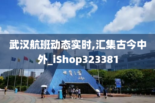 武汉航班动态实时,汇集古今中外_iShop323381