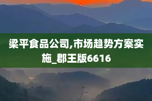 梁平食品公司,市场趋势方案实施_郡王版6616