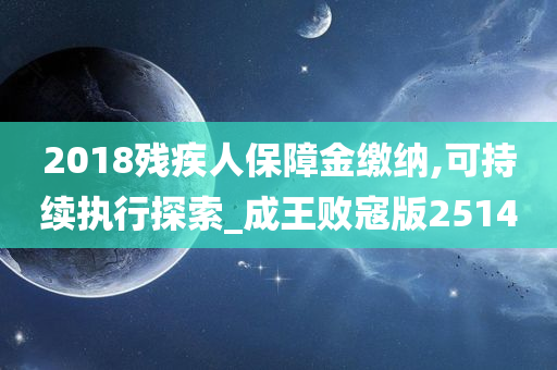 2018残疾人保障金缴纳,可持续执行探索_成王败寇版2514