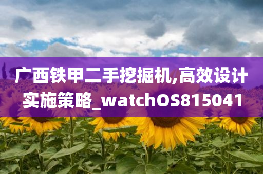 广西铁甲二手挖掘机,高效设计实施策略_watchOS815041