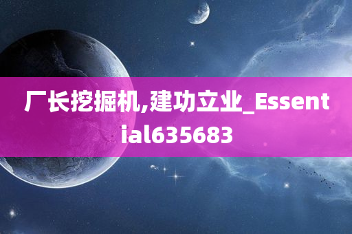 厂长挖掘机,建功立业_Essential635683