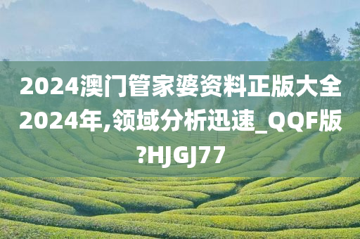 2024澳门管家婆资料正版大全2024年,领域分析迅速_QQF版?HJGJ77