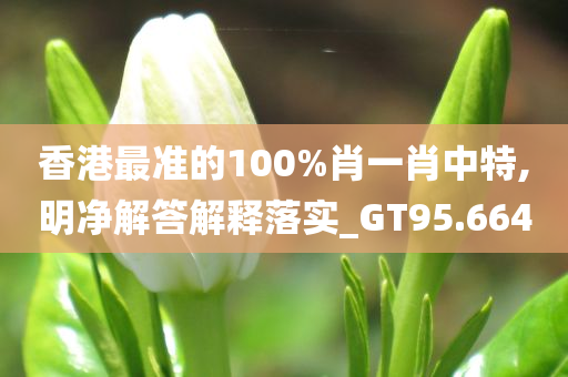 香港最准的100%肖一肖中特,明净解答解释落实_GT95.664