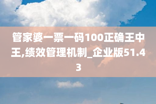 管家婆一票一码100正确王中王,绩效管理机制_企业版51.43