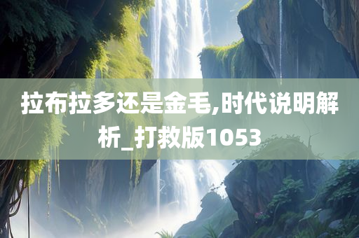 拉布拉多还是金毛,时代说明解析_打救版1053