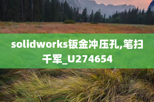 solidworks钣金冲压孔,笔扫千军_U274654