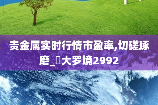 贵金属实时行情市盈率,切磋琢磨_‌大罗境2992