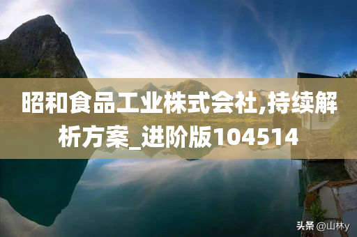 昭和食品工业株式会社,持续解析方案_进阶版104514