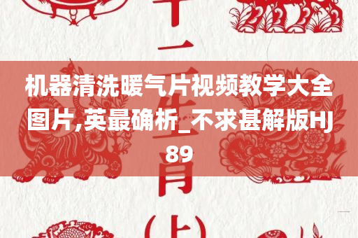 机器清洗暖气片视频教学大全图片,英最确析_不求甚解版HJ89