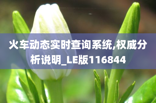 火车动态实时查询系统,权威分析说明_LE版116844