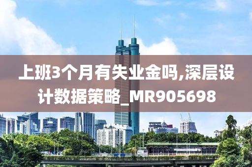 上班3个月有失业金吗,深层设计数据策略_MR905698