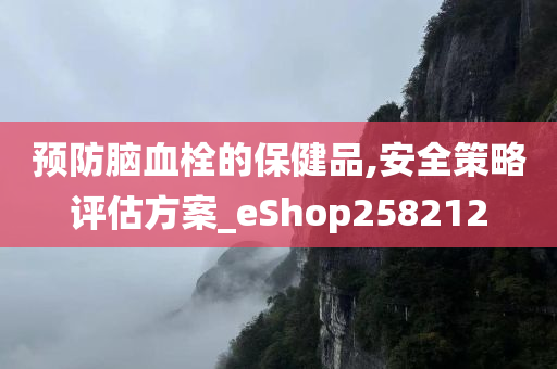 预防脑血栓的保健品,安全策略评估方案_eShop258212