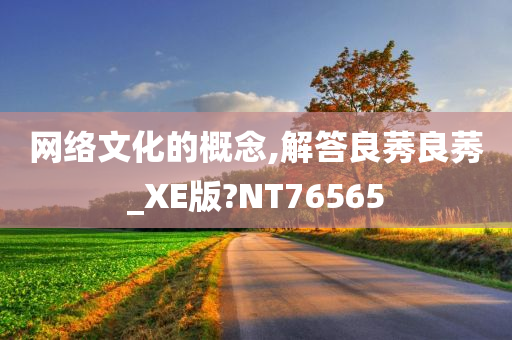 网络文化的概念,解答良莠良莠_XE版?NT76565