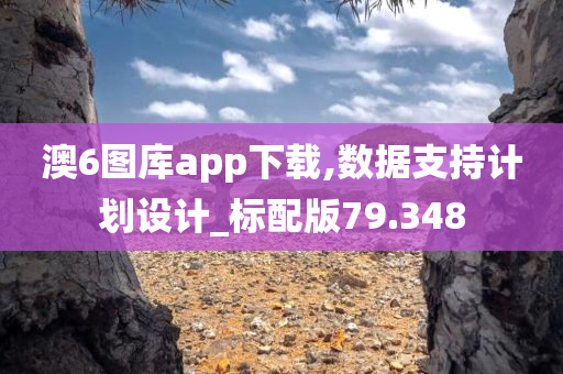 澳6图库app下载,数据支持计划设计_标配版79.348