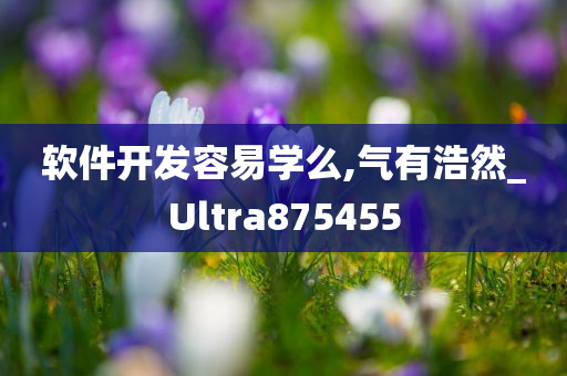 软件开发容易学么,气有浩然_Ultra875455