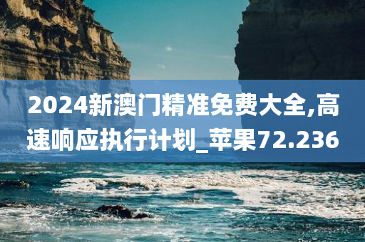 2024新澳门精准免费大全,高速响应执行计划_苹果72.236