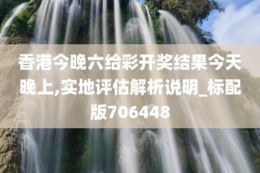 香港今晚六给彩开奖结果今天晚上,实地评估解析说明_标配版706448