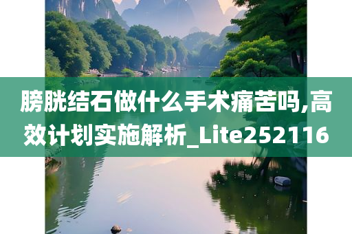 膀胱结石做什么手术痛苦吗,高效计划实施解析_Lite252116