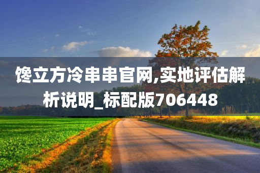 馋立方冷串串官网,实地评估解析说明_标配版706448