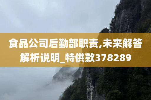 食品公司后勤部职责,未来解答解析说明_特供款378289