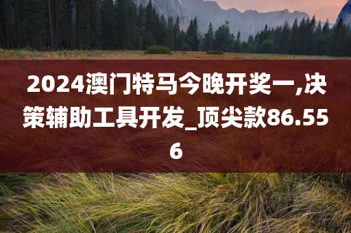 2024澳门特马今晚开奖一,决策辅助工具开发_顶尖款86.556