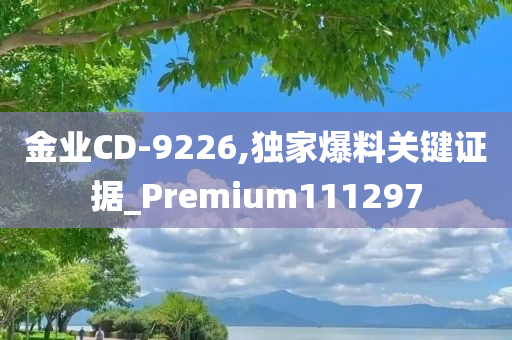 金业CD-9226,独家爆料关键证据_Premium111297