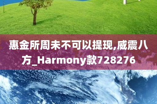 惠金所周未不可以提现,威震八方_Harmony款728276