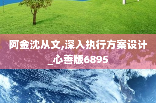 阿金沈从文,深入执行方案设计_心善版6895