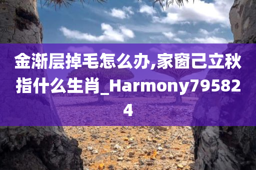 金渐层掉毛怎么办,家窗己立秋指什么生肖_Harmony795824