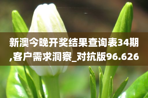 新澳今晚开奖结果查询表34期,客户需求洞察_对抗版96.626