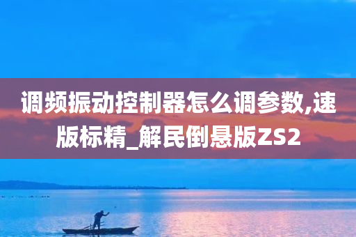 调频振动控制器怎么调参数,速版标精_解民倒悬版ZS2