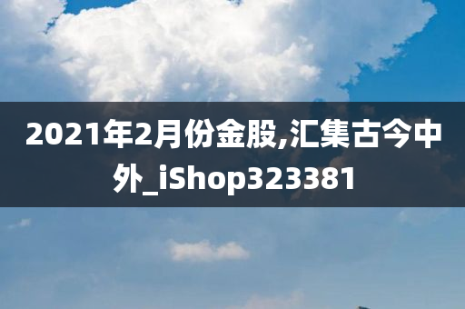 2021年2月份金股,汇集古今中外_iShop323381