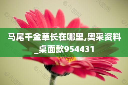 马尾千金草长在哪里,奥采资料_桌面款954431