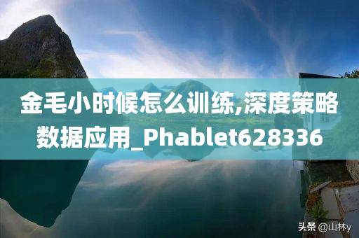 金毛小时候怎么训练,深度策略数据应用_Phablet628336